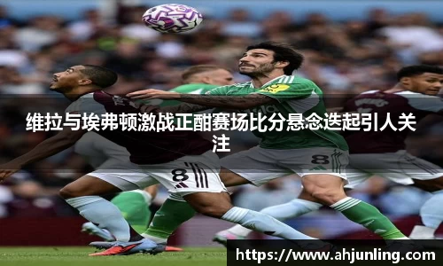 beats365维拉与埃弗顿激战正酣赛场比分悬念迭起引人关注